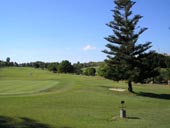 Golf Course Picture Image